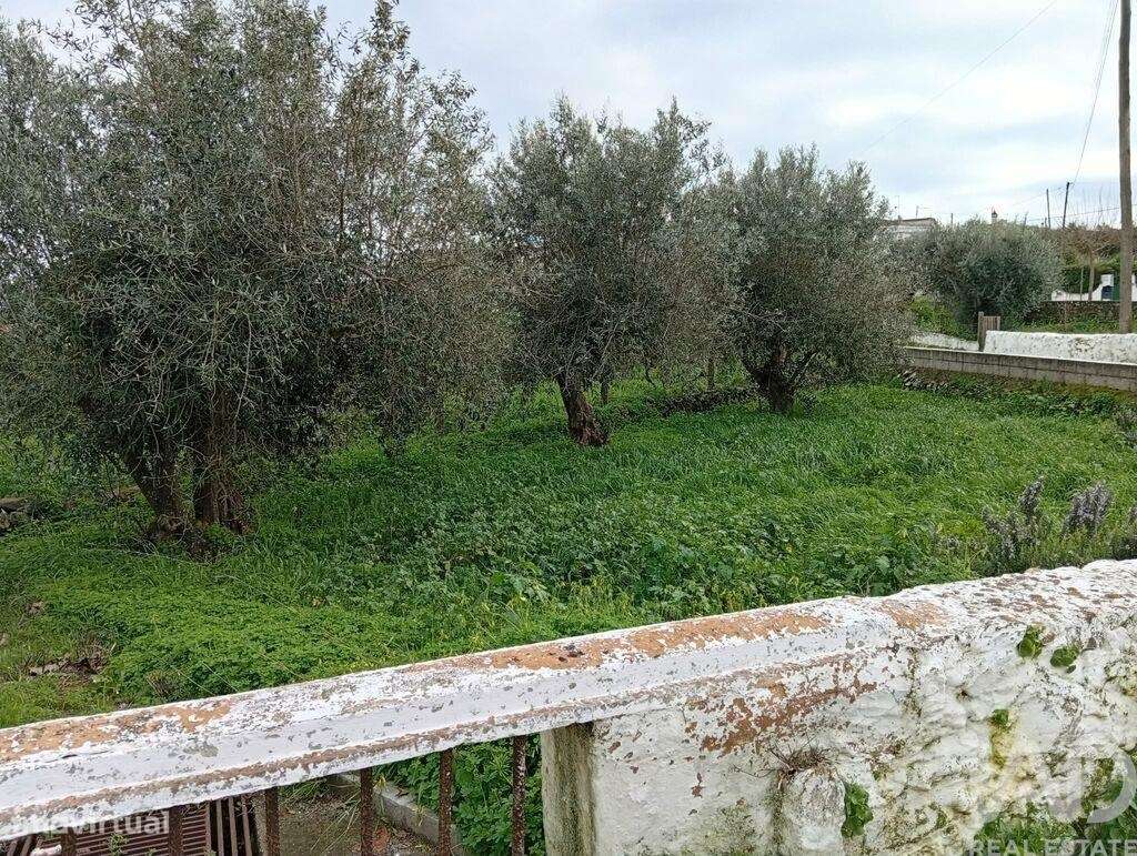 Terreno Agrícola em Ameixial - Grande imagem: 2/4