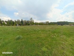 Działki położone w miejscowości Pisarzowice