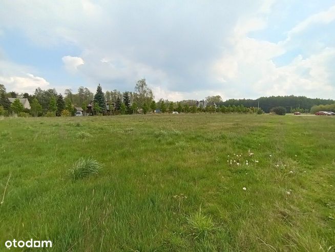 Działki położone w miejscowości Pisarzowice