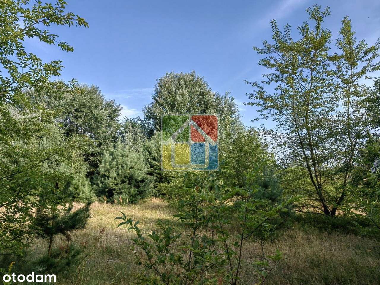 Działka budowlana 400 metrów od plaży nad jeziorem Białe - Pełny obrazek: 5/5