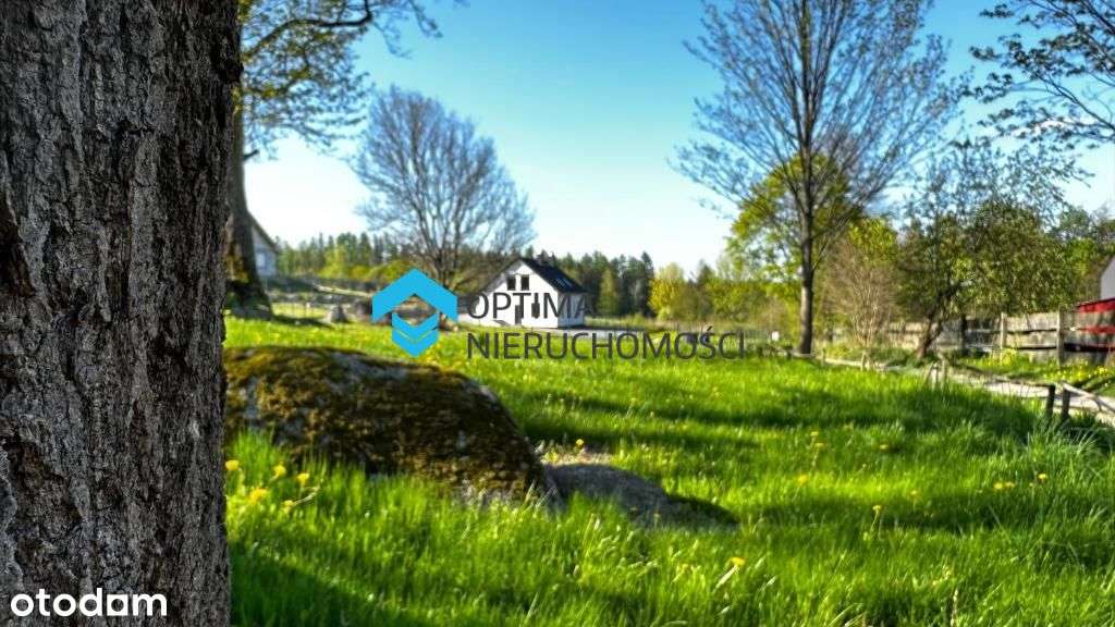 Gotowy biznes, dom dla rodziny lub inwestycja-9