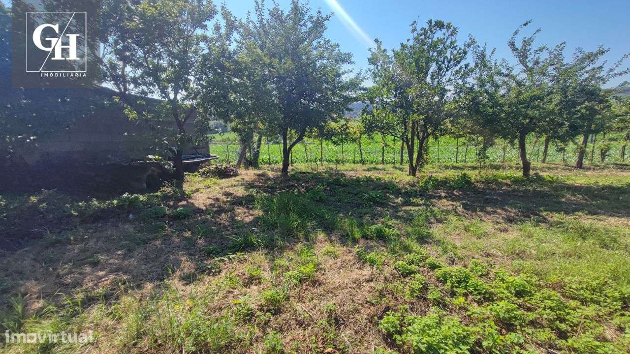 Terreno em Gondifelos - Grande imagem: 4/14