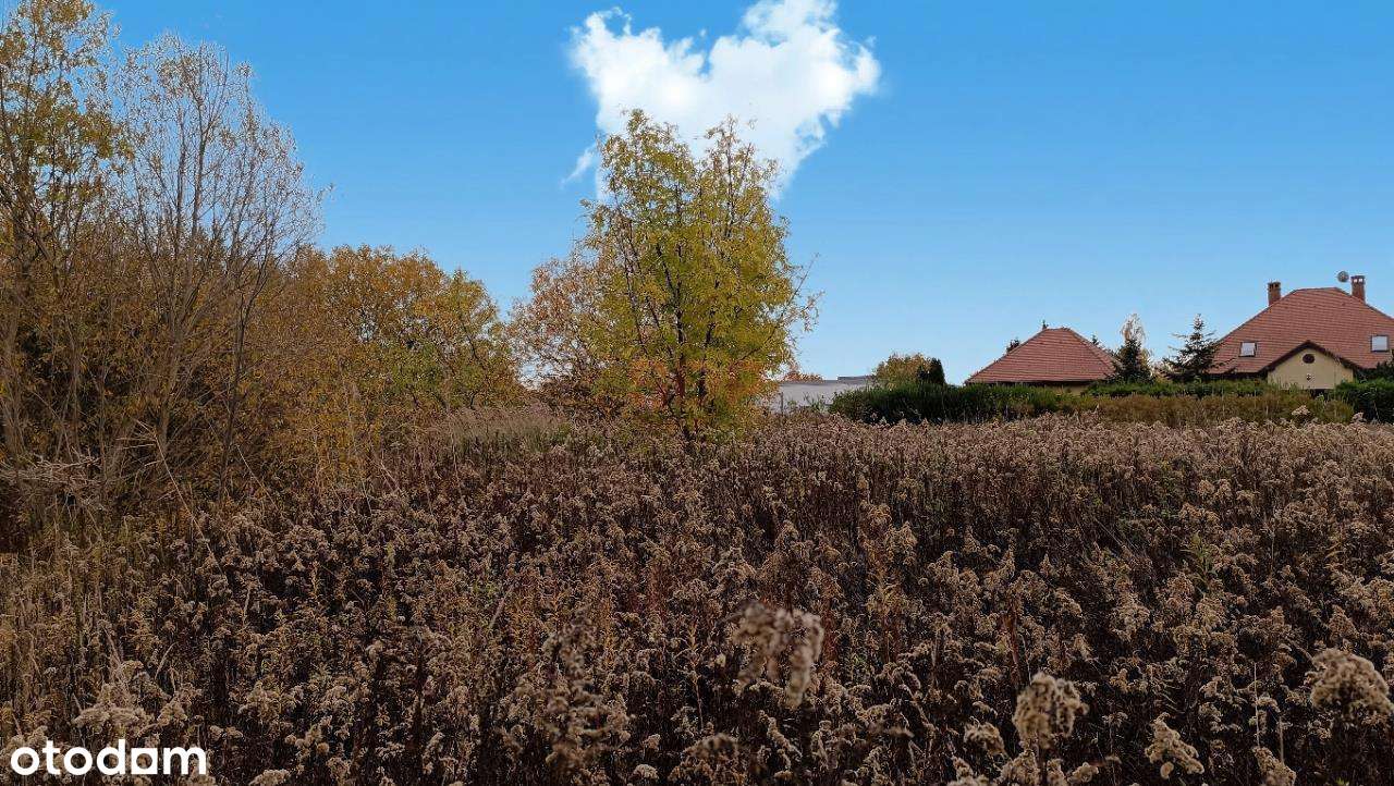 Budowlana, 515 m2, prąd, woda, gaz, kanalizacja - Pełny obrazek: 4/5