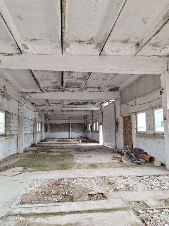 Hale de vanzare cu o suprafata totala de 5440 mp - Imagine principală: 1/7