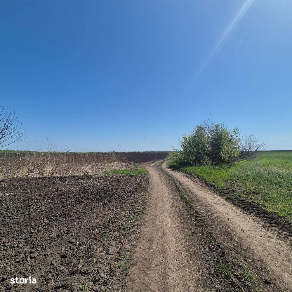 GRADISTEA - Sat Sitaru, teren agricol 11.961mp, ideal investitie-7