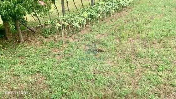 QUINTINHA EM NEIVA COM 9288 M2 DE TERRENO - Grande imagem: 5/23