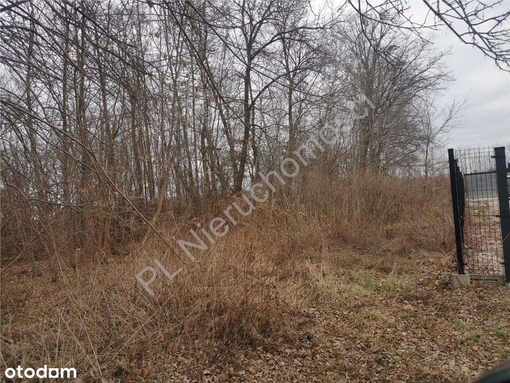 Działka przy drodze asfaltowej - Budy-Grzybek - Pełny obrazek: 5/10