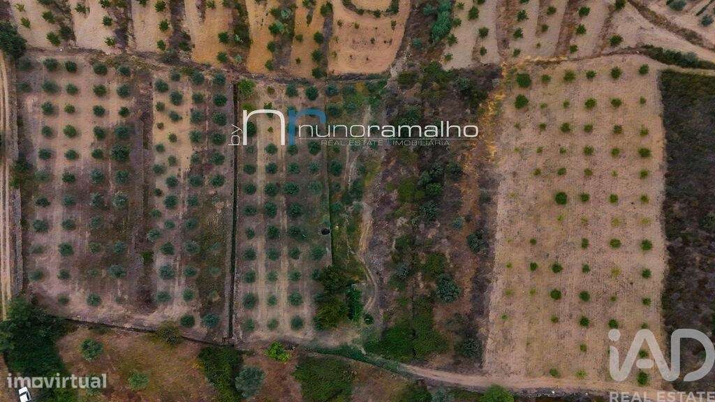 Terreno em Poço do Canto de 11872,00 m2 - Grande imagem: 5/7