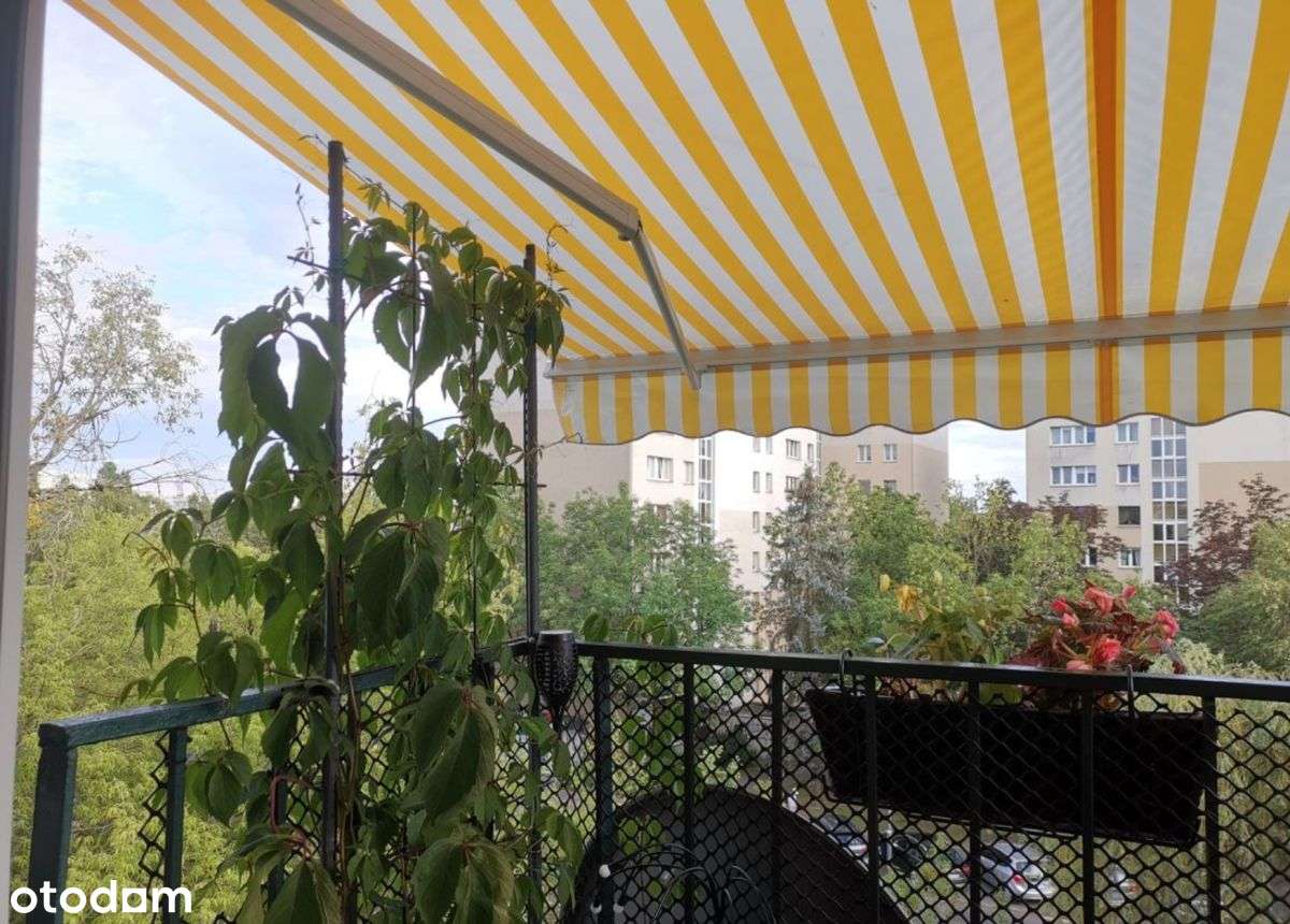 | 2 Pokoje | Odrębna Kuchnia |  Po Remoncie |-7