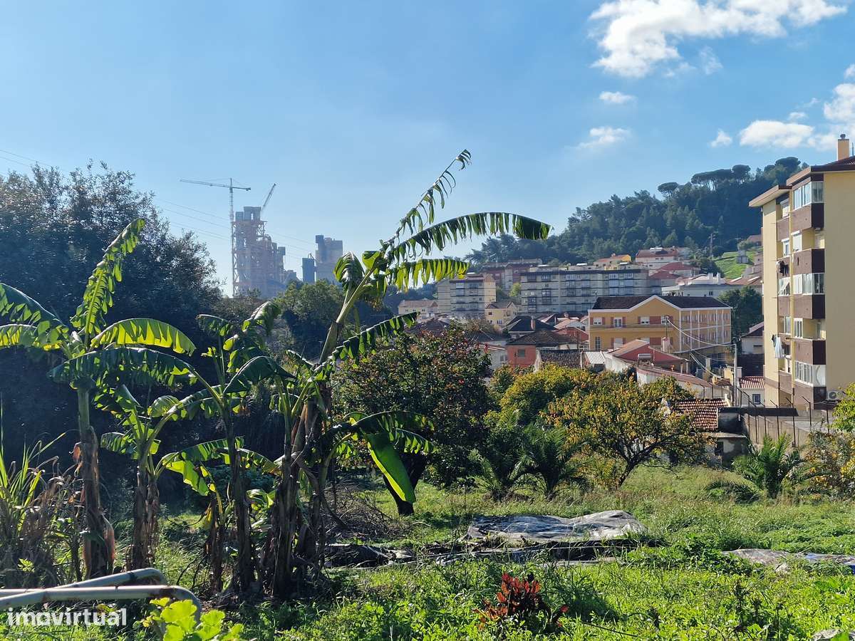 Terreno Misto com Elevado Potencial de Investimento-13