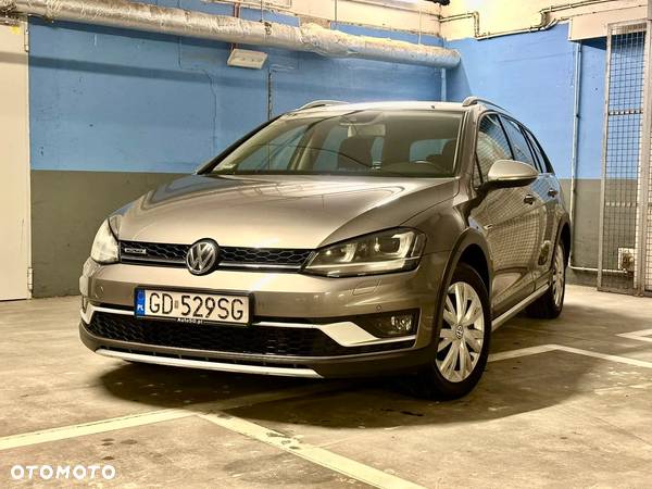 Volkswagen Golf Alltrack 2.0 TDI BMT 4Mot DSG - 2