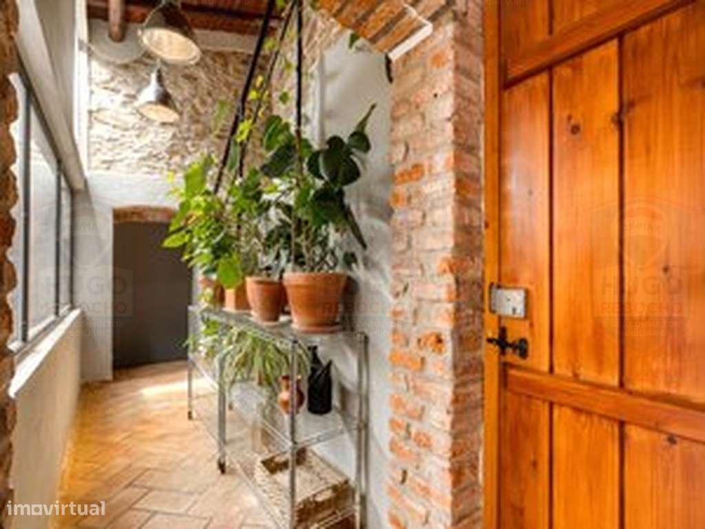 Descubra o encanto de viver no Alentejo!-21