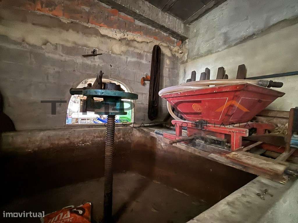 Quintinha com terreno agrícola de 2250 m2-17