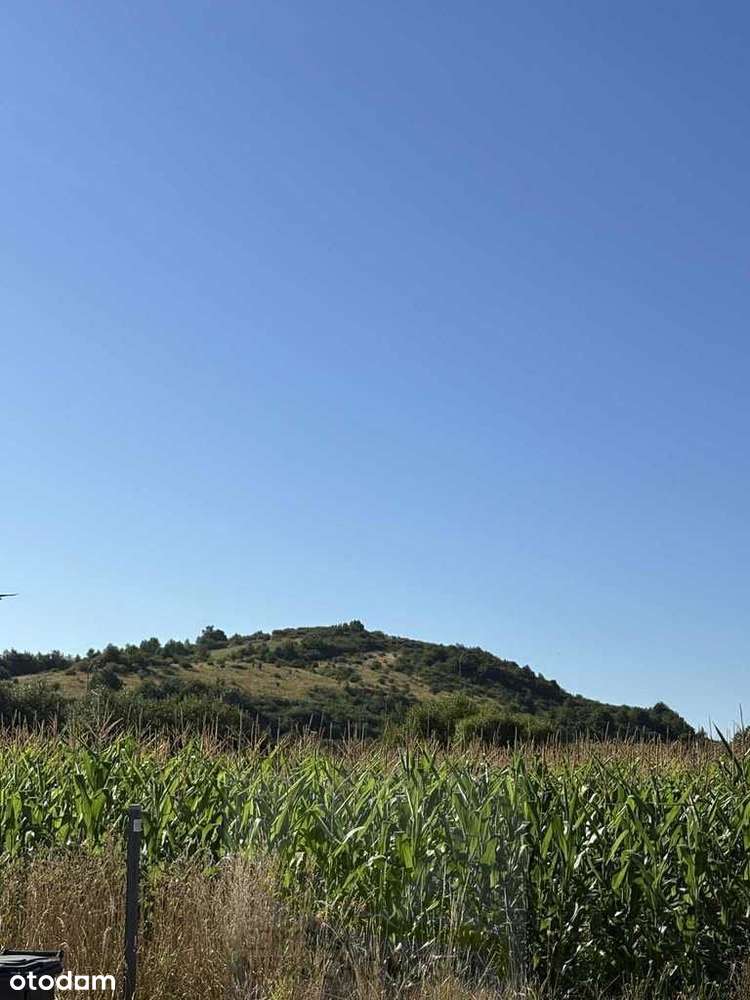 Bielawa – działka pod dom i działalność usługową - Pełny obrazek: 3/6