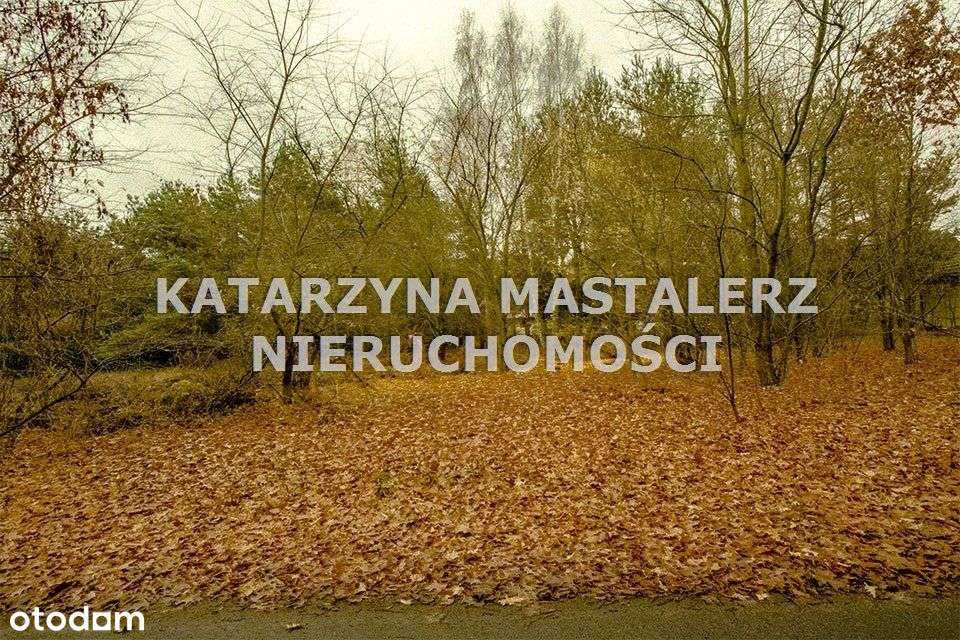 Działka, 2 000 m², Strzeniówka-4