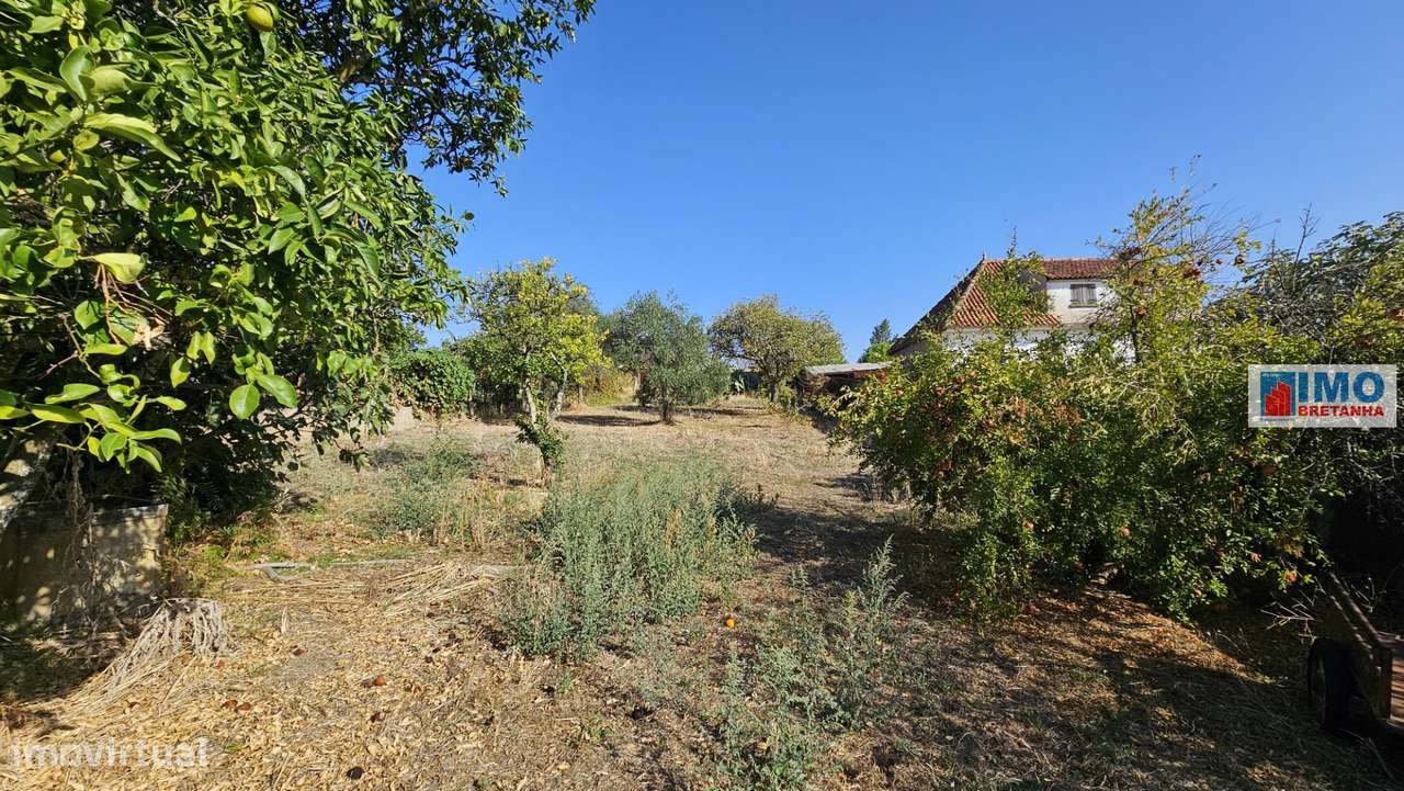 Moradia V6 c/ Quintal - Maxiais - 10 min de Castelo Branco-24