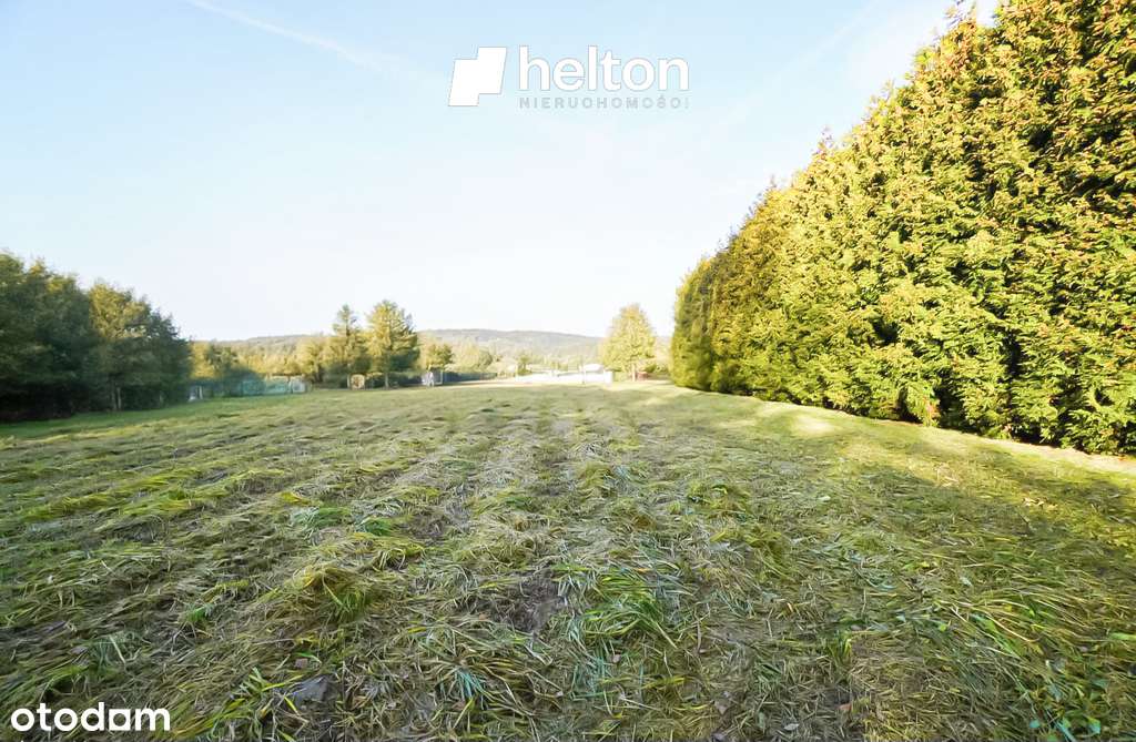 Działka przy Zalewie Rusieckim || WZ ||-2