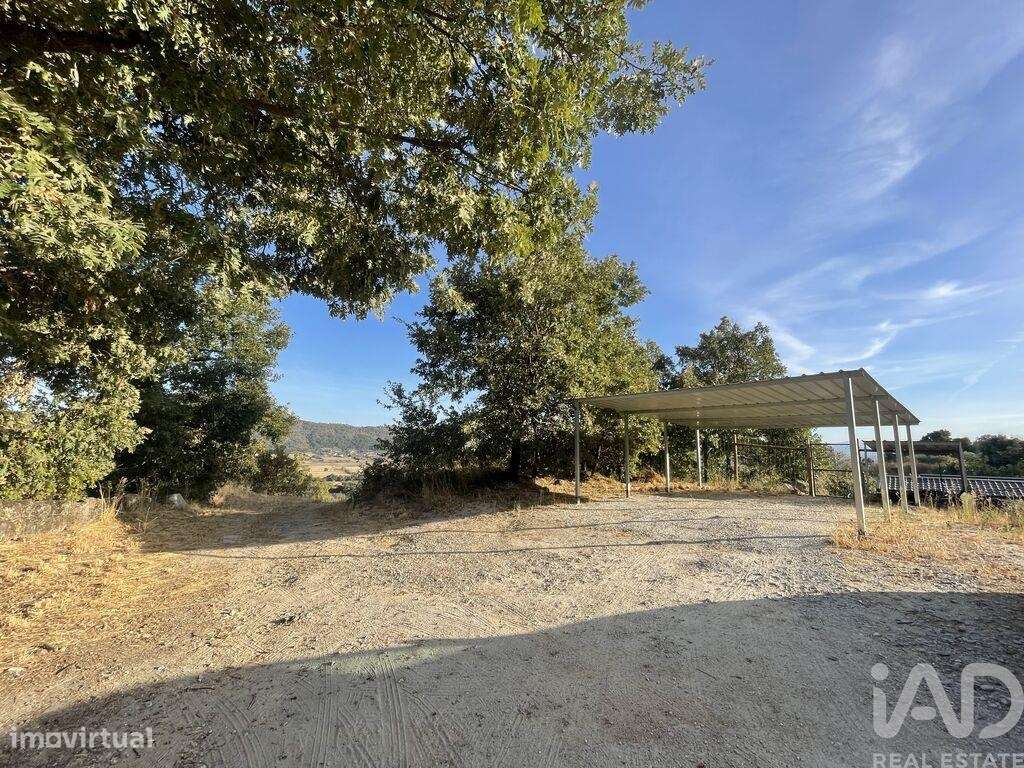 Quinta T1 em Vale Formoso e Aldeia do Souto de 56,00 m2 - Grande imagem: 4/12