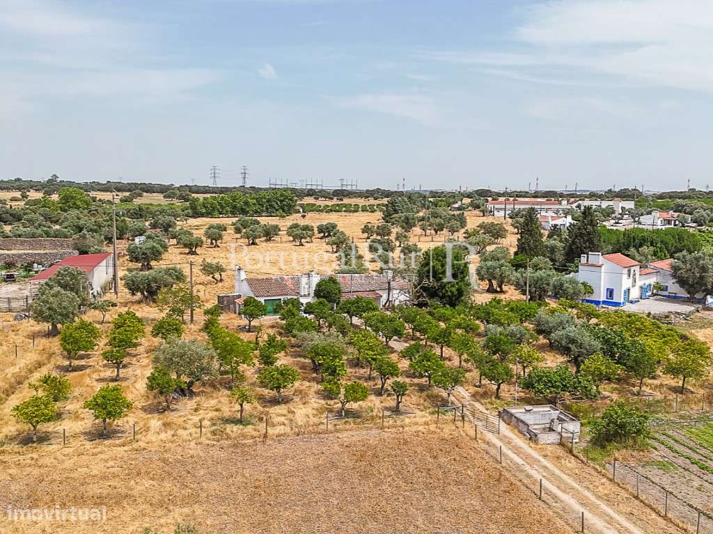 Encantadora quintinha alentejana - Grande imagem: 1/21