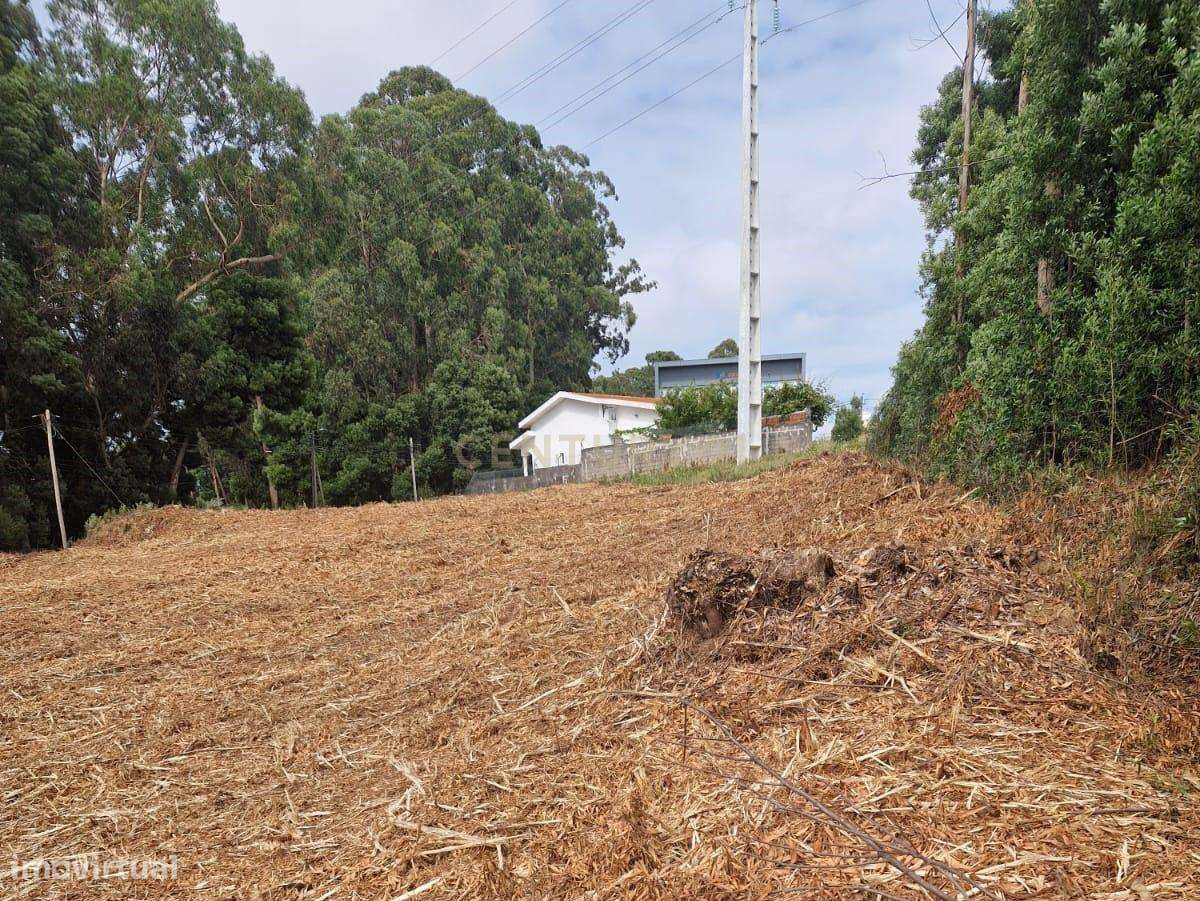 oportunidade para investidores - Grande imagem: 5/7