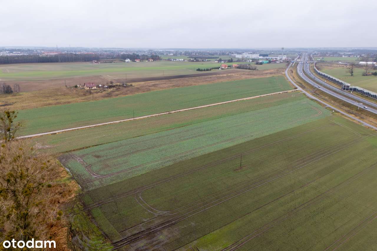 Duża działka inwestycyjna w Kiekrzu-6