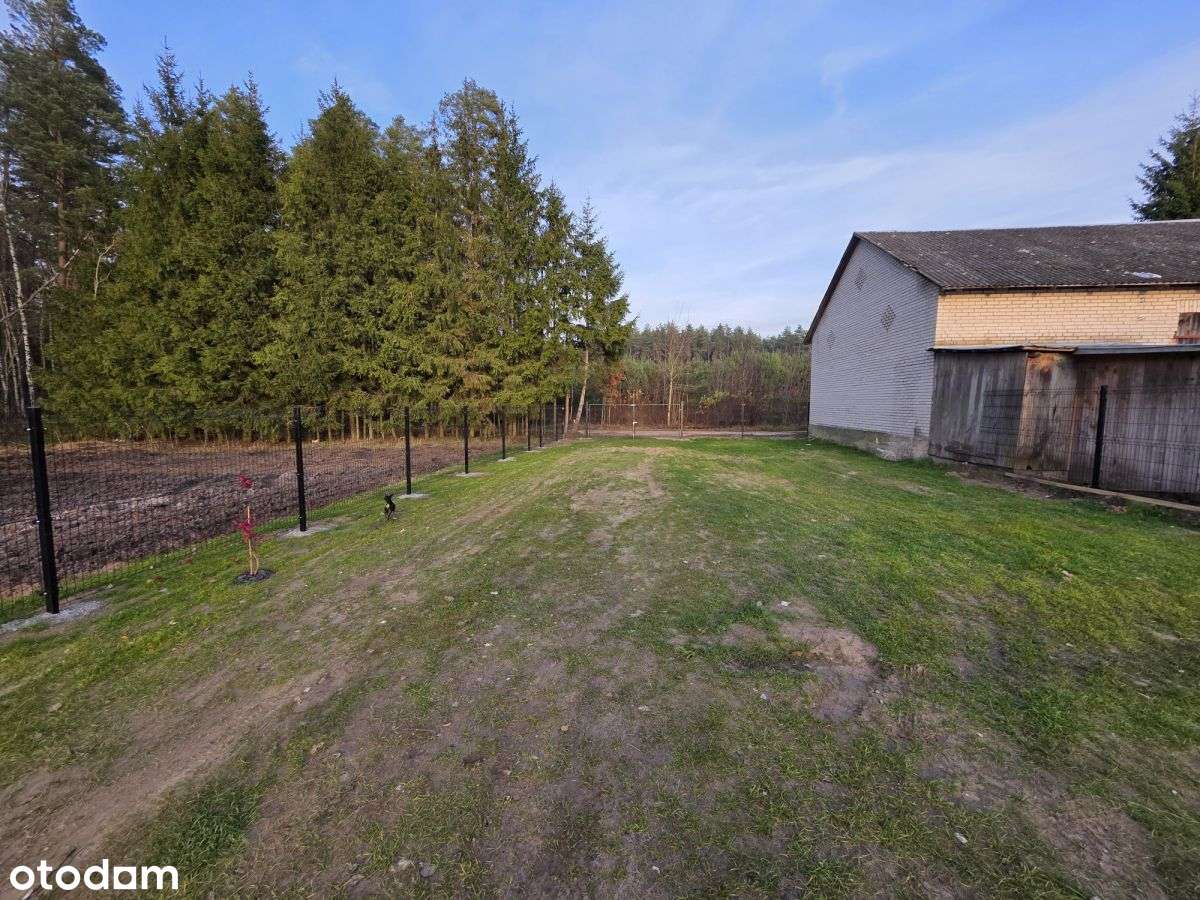 Siedlisko, Jabłońskie, Las-17