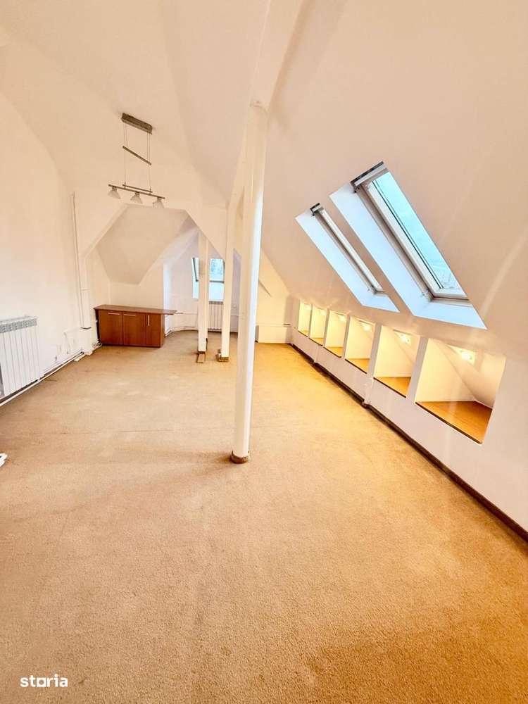 Mosilor, Vila 9 camere, ideala Birouri, Clinica, After School, 330 mp-18