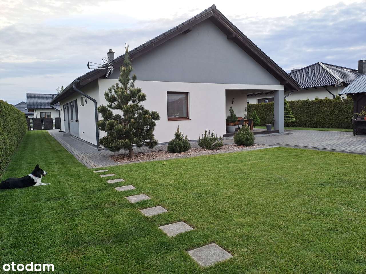 Dom, 135 m², Debrzno - Pełny obrazek: 5/14