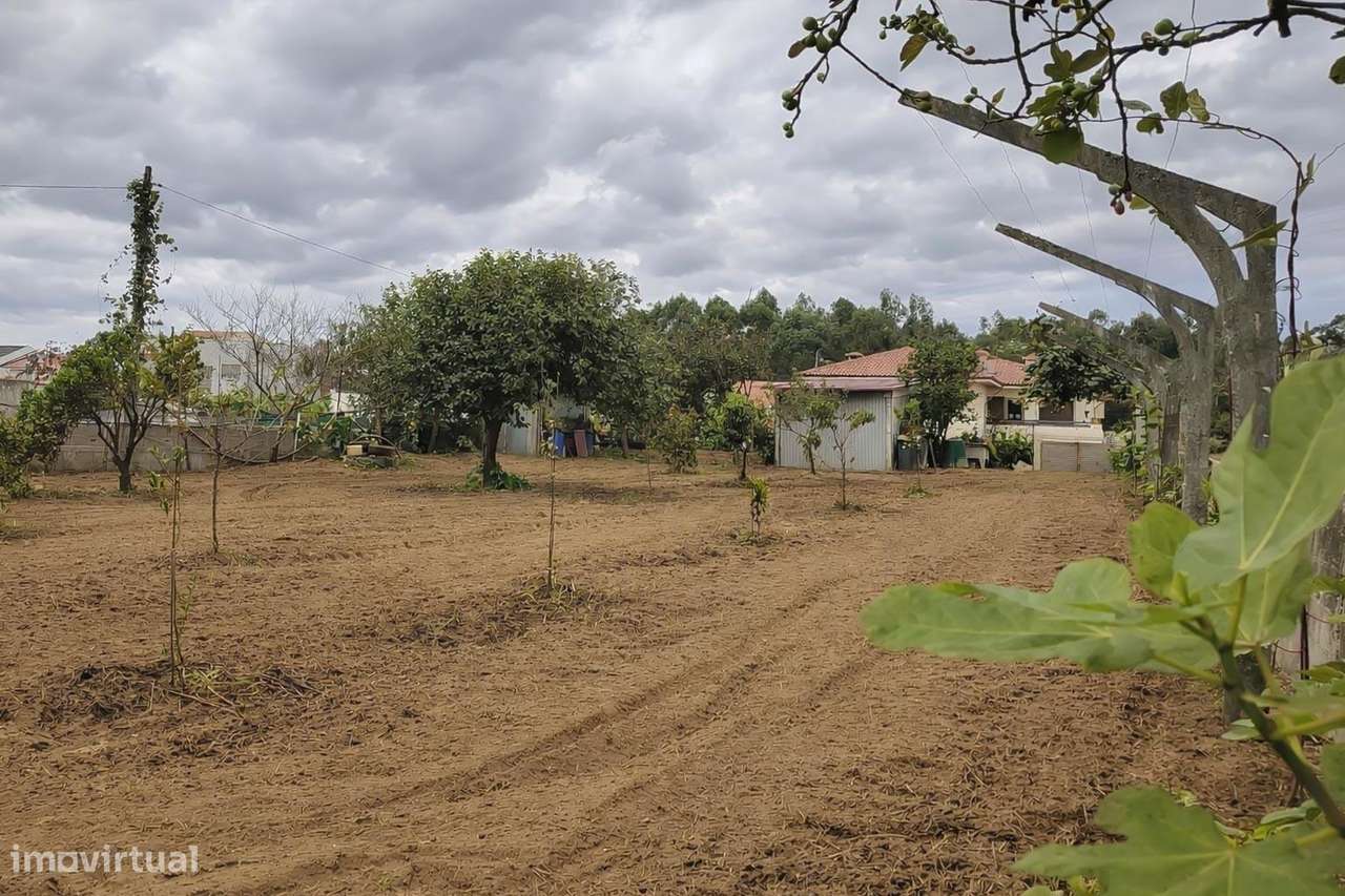 Moradia T4 exclusiva | Piscina| Zona Agrícola | Junto à Praia-54