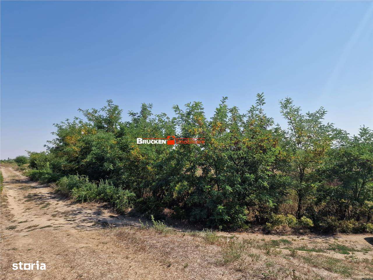TEREN REZIDENTIAL | TOBOLIU | 1.773 MP - Imagine principală: 2/6