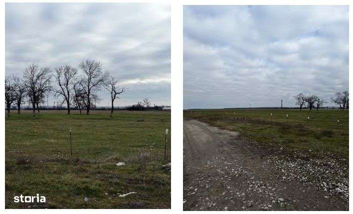 Teren intravilan arabil Obreja, Caras Severin - 3003999 - Imagine principală: 2/2