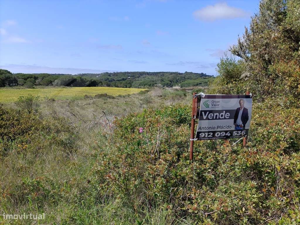 Terreno rústico para plantio de vinha e outras culturas - Grande imagem: 5/7