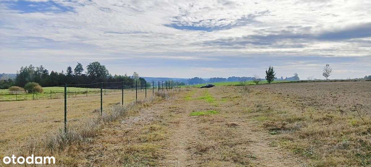 Ostatnia działka z Wz, 148zł/m2 - Pełny obrazek: 2/15