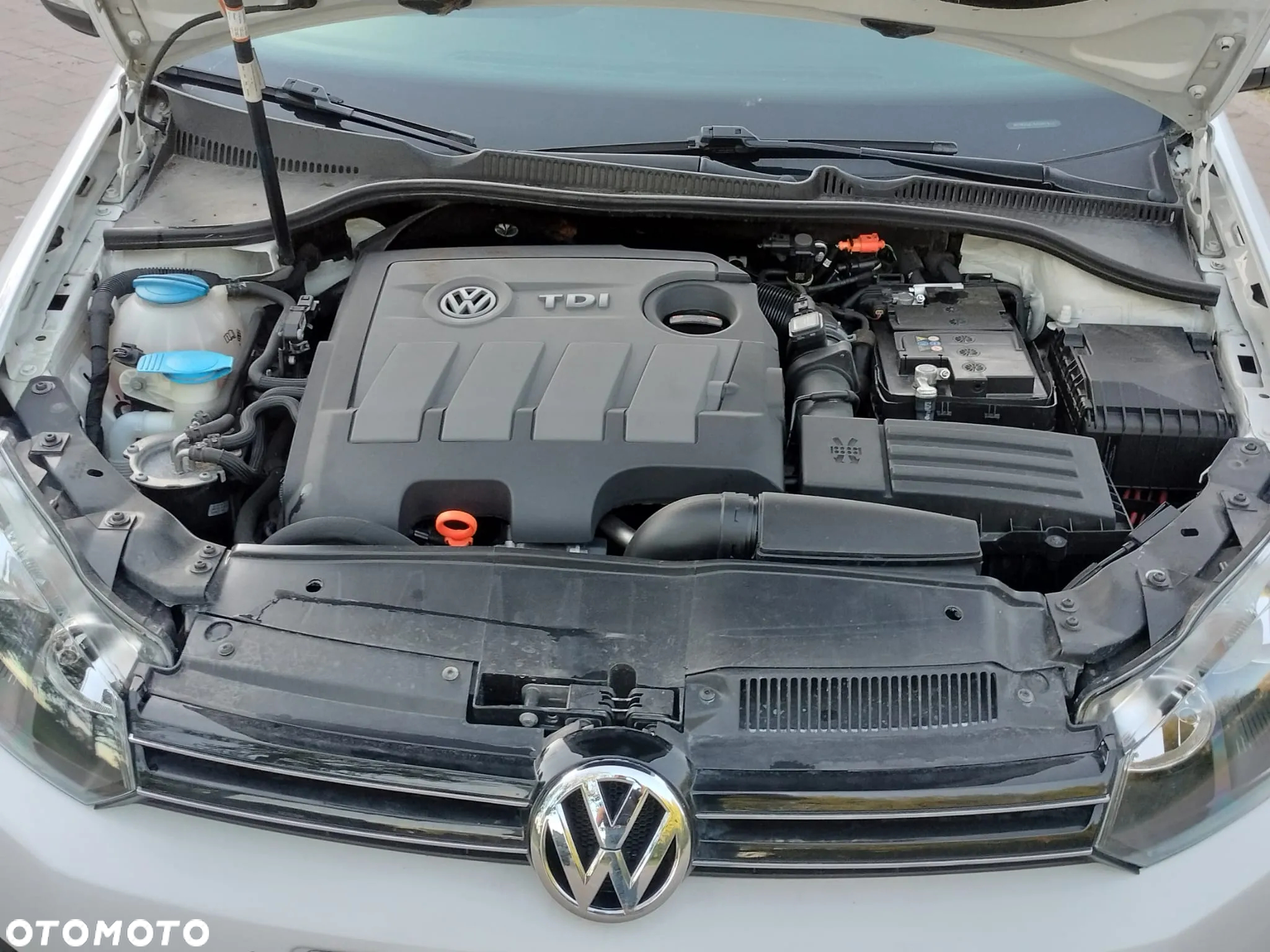 Volkswagen Golf 1.6 TDI BlueMotion Technology Cup - 19