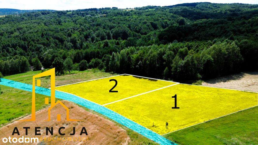Widokowe Działki Na Sprzedaż Lubenia WZ