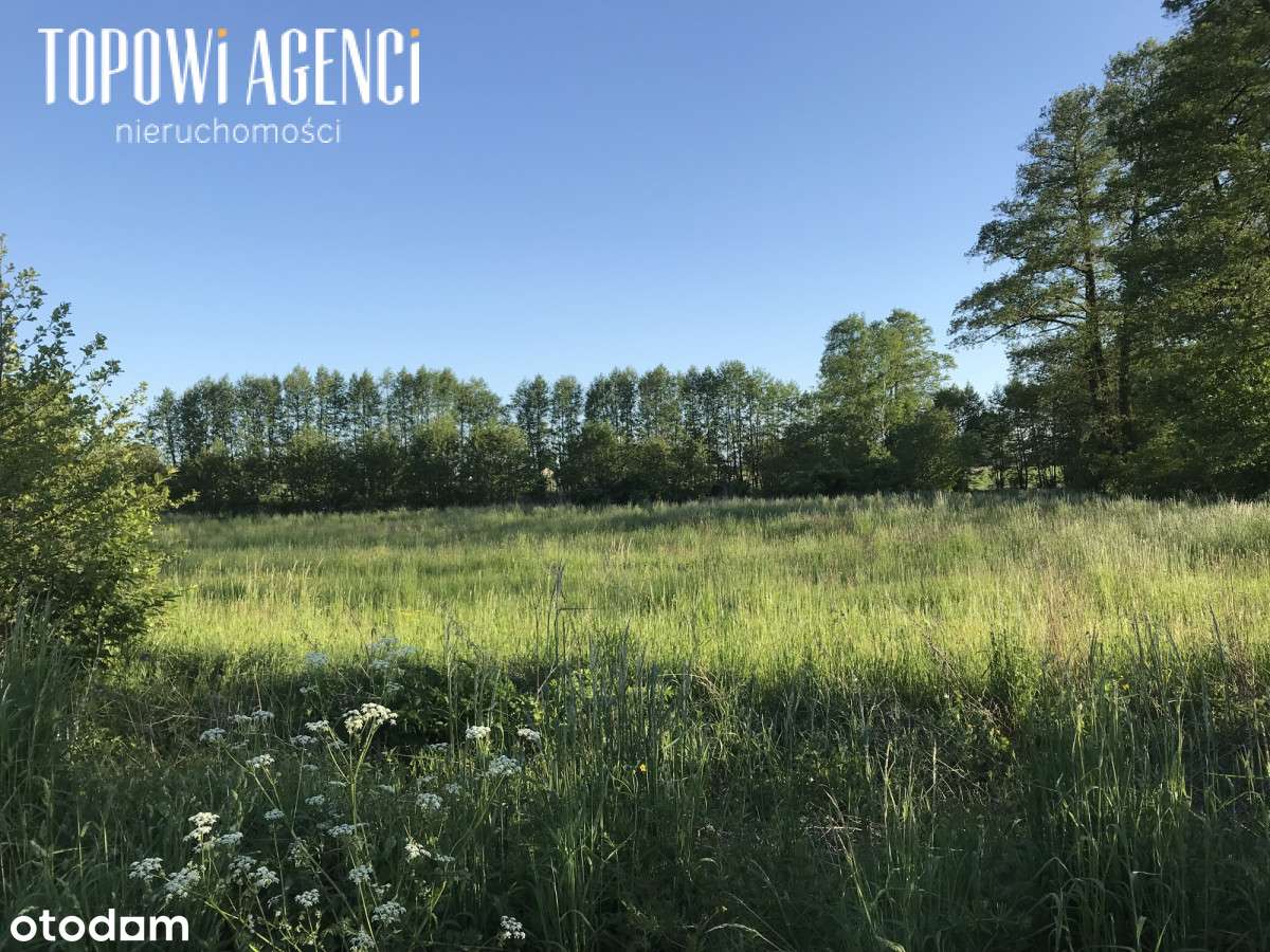 Działka  o pow. 6062 m2 Jasionna  gmina Piątek - Pełny obrazek: 5/6