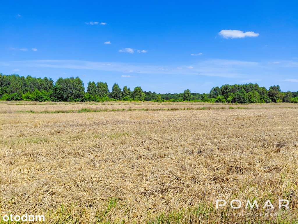 ★ Tylko u nas! Piękna działka - Książenice - Pełny obrazek: 5/8