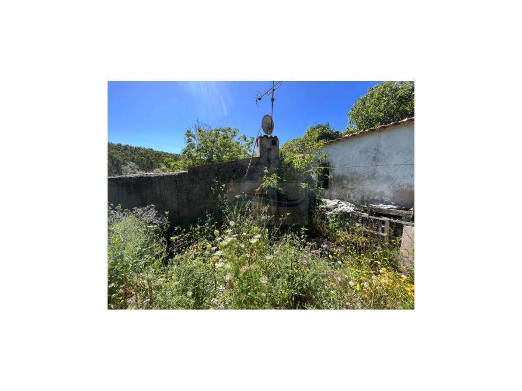 Vende-se casa com 115m2 em Torres Vedras para recuperar com 990m2 d... - Grande imagem: 5/16