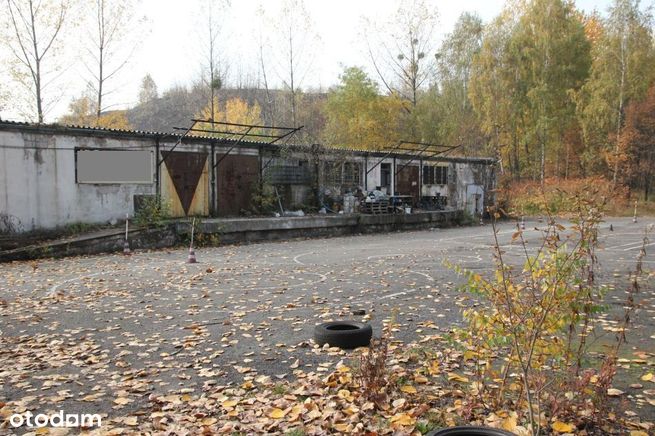 biuro/gastro/handel/magazyn - produkcja i usługi-2