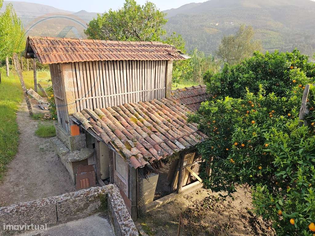 Moradia T4, em pedra, com terreno de 2.366 m² e Espigueiro datado d...-48