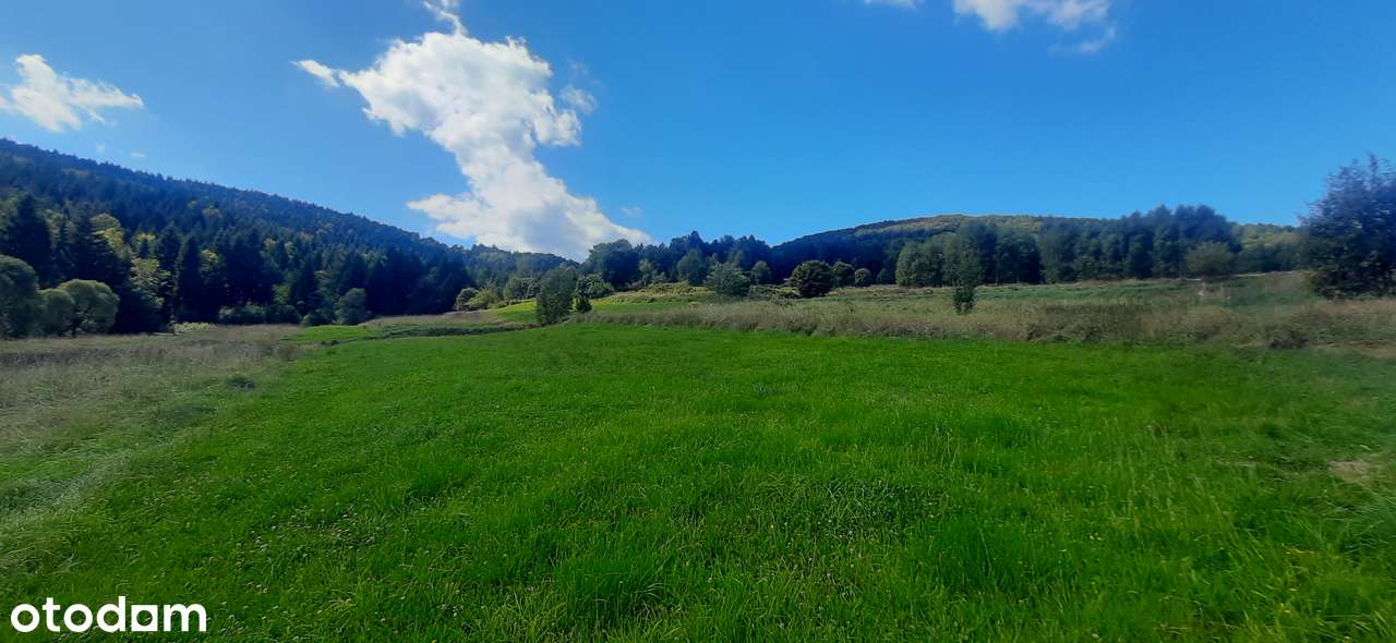 Słoneczna działka przy lesie, budowlana, 8 ar-8