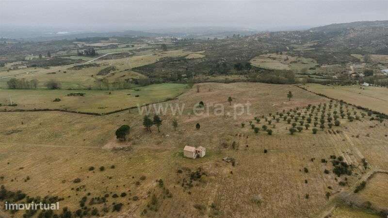 Quinta / Gouveia, Vila Cortês da Serra - Grande imagem: 3/20