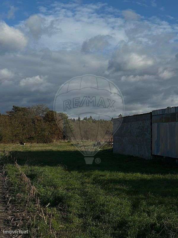 Terreno  para venda - Grande imagem: 4/6