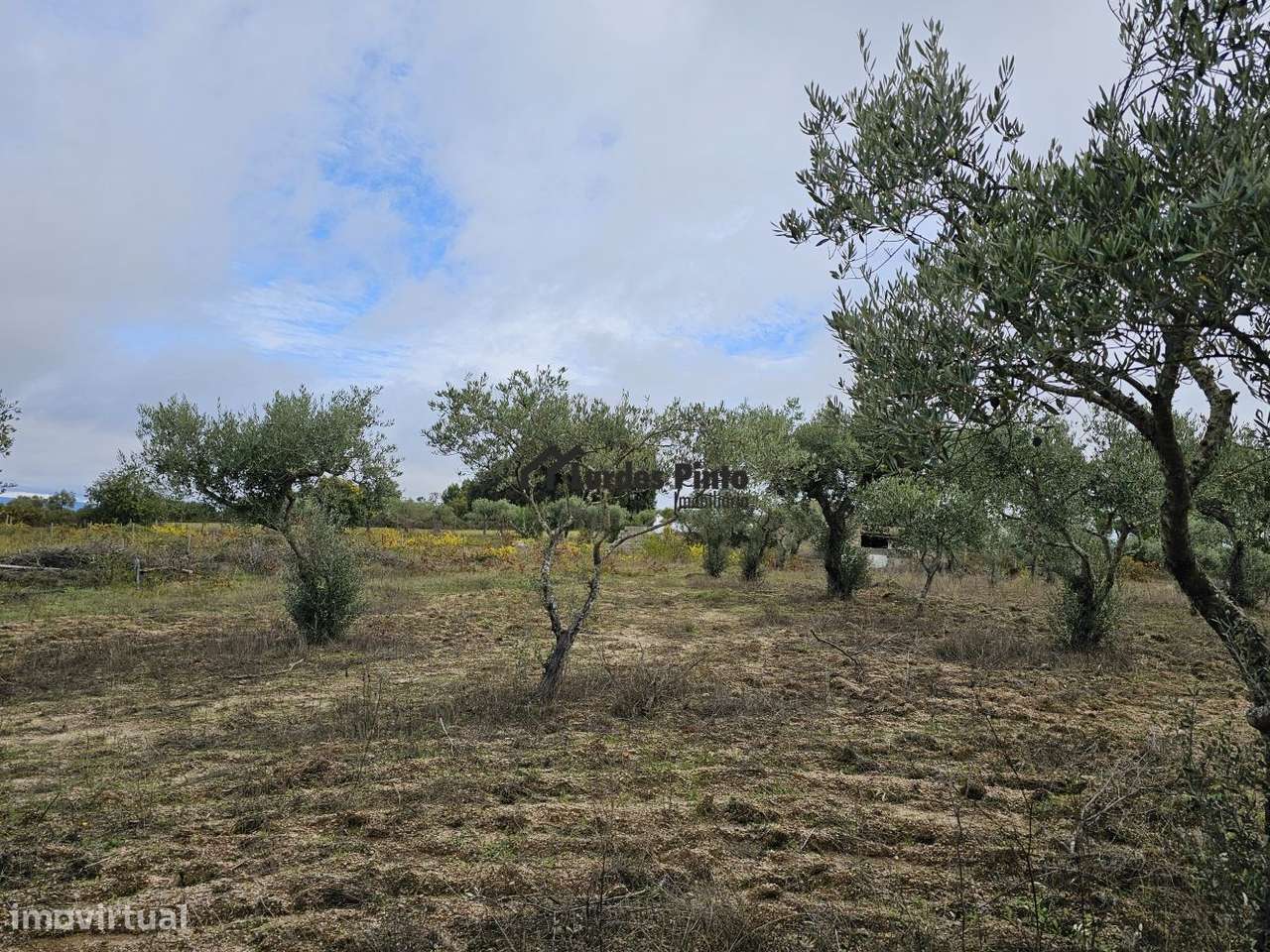 Quinta com construção em pedra-14