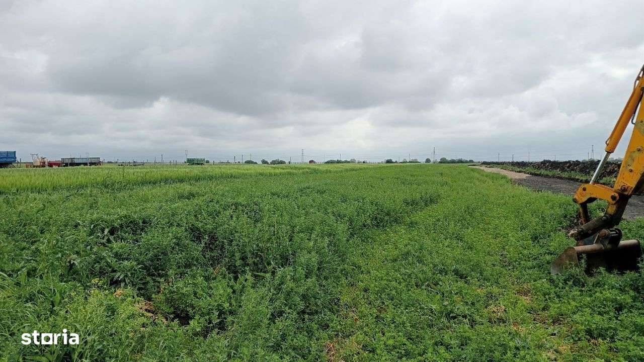 Locuri de casa in Livada - Imagine principală: 3/7