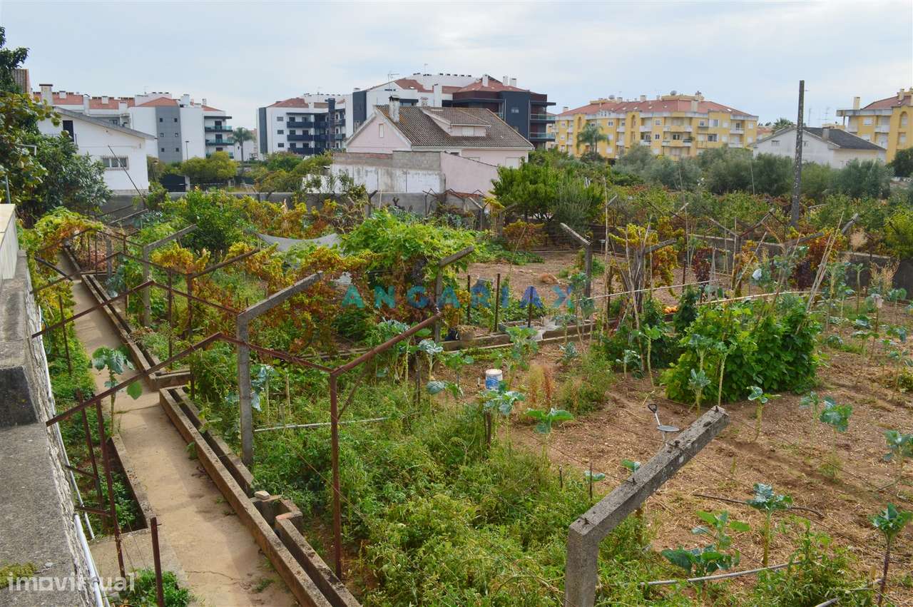 ANG901 - Terreno Urbano para Venda no Entroncamento - Grande imagem: 1/11