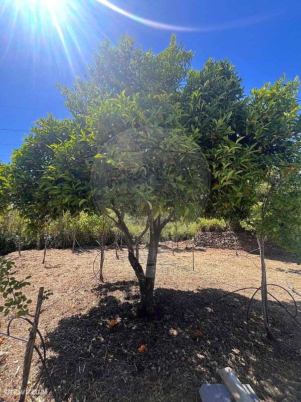 Moradia T2 para venda-24