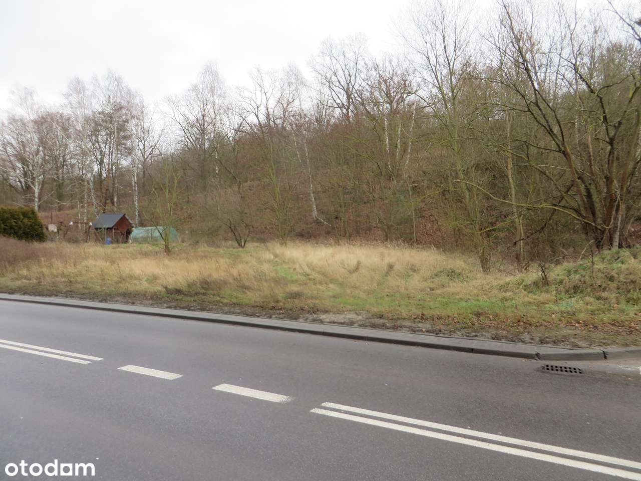 Działka w Czepinie przy ul. Gryfińskiej z warunkami zabudowy - Pełny obrazek: 4/8