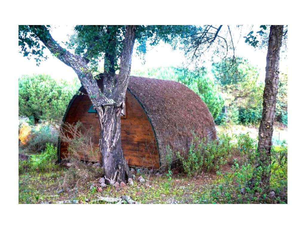 Monte Alentejano com 8,2 Hectares - Um Paraíso de Natureza e Sereni...-28