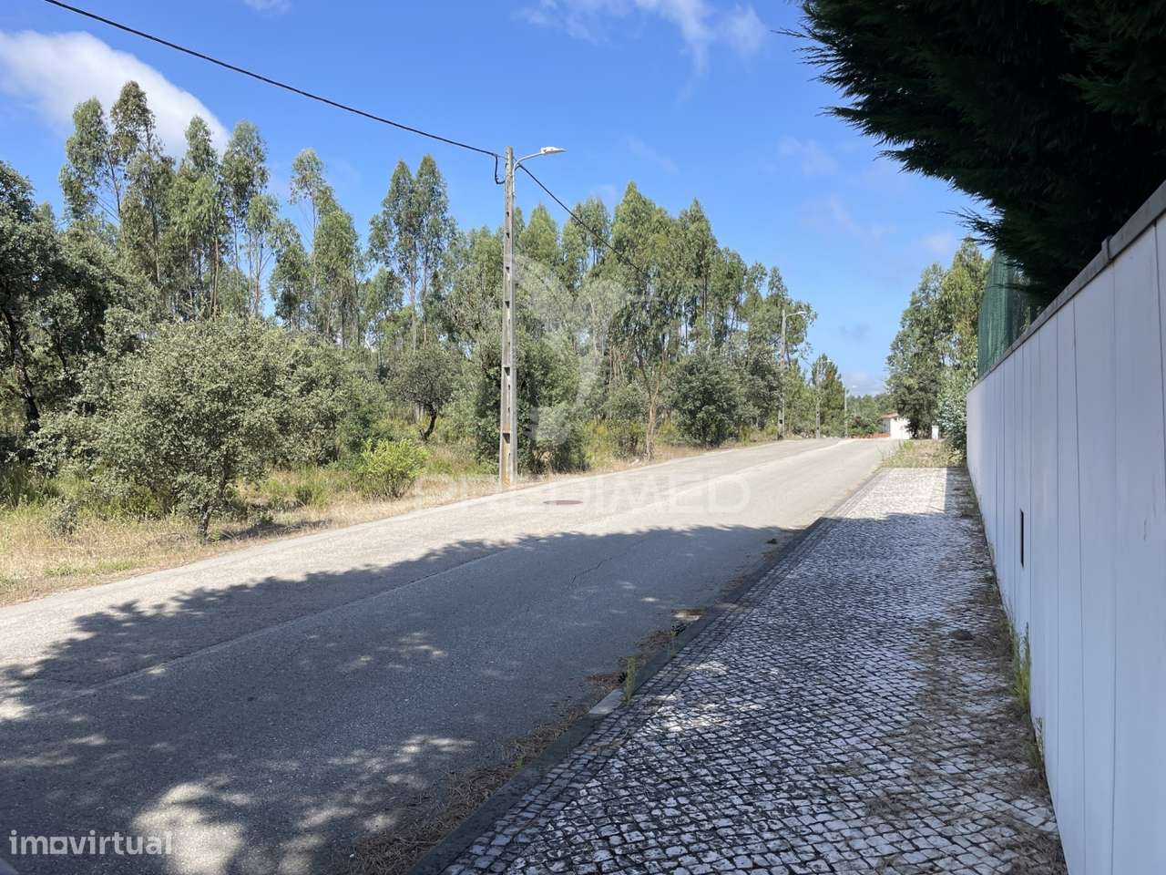 Terreno c/ 8274m2, Moimento, Fátima - Grande imagem: 4/22